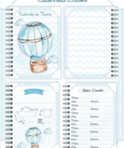 Caderneta de Vacina Balões Menino