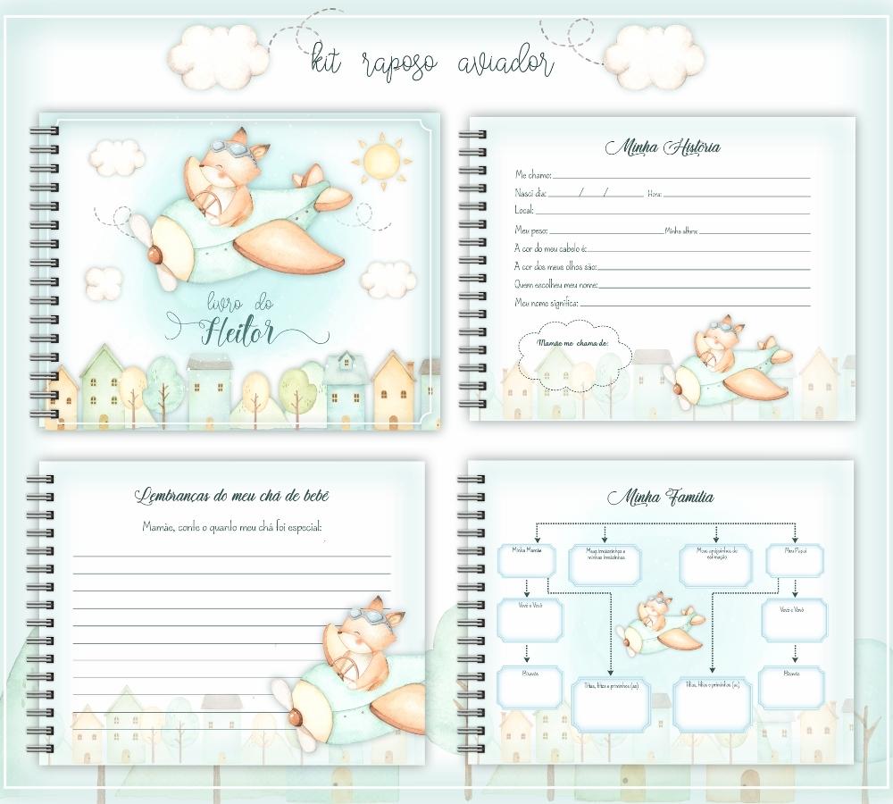 Livro do Bebê - Raposinho Aviador