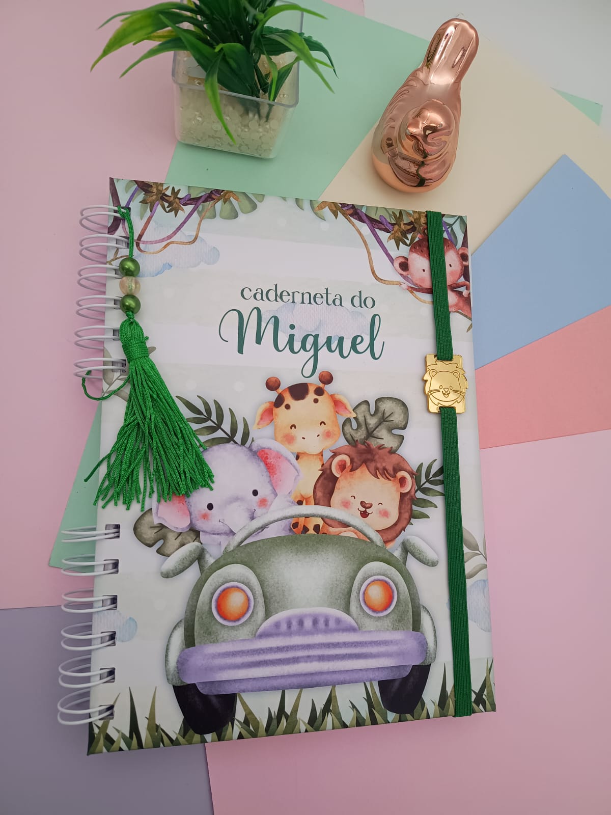 caderneta-de-vacina-baby-safari-menino