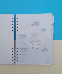 Caderneta de Saúde - Ursinho Principe Delicado