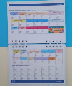 Caderneta de Saúde - Ursinho Principe Delicado