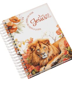 Agenda Católica Capa 04